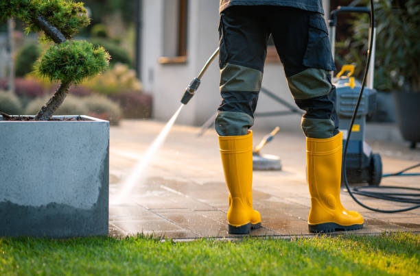 Professional Pressure Washing in Maugansville, MD